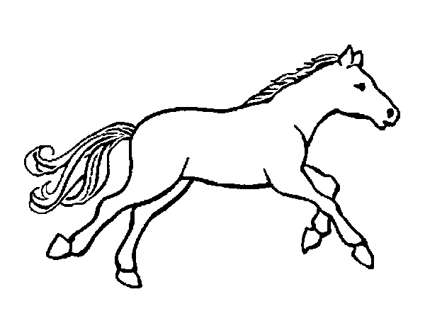 Disegno di Piccolo cavallo da Colorare