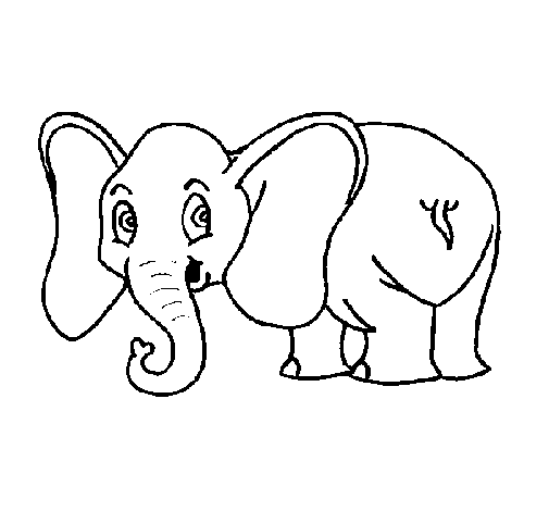 Disegno di Piccolo elefantino  da Colorare