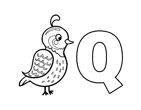 Disegno di Q di Quetzal da Colorare
