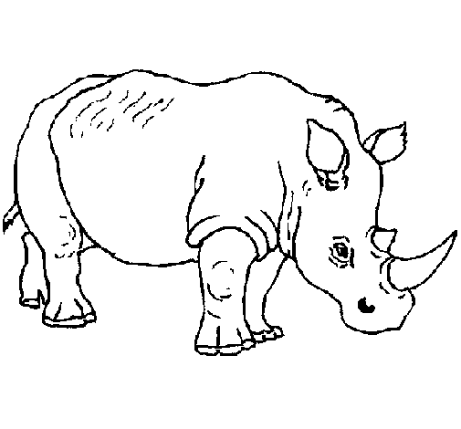 Disegno di Rinoceronte  3 da Colorare