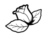 Disegno di Rosa con foglie da colorare