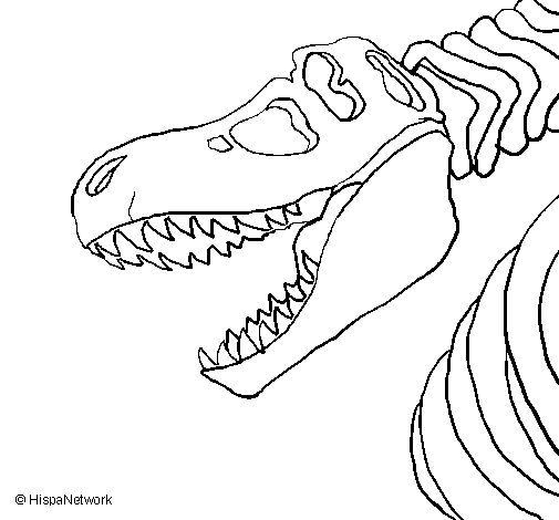 Disegno di Scheletro di Tyrannosaurus rex da Colorare