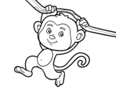 Disegno di Scimmia che pende da un ramo da colorare
