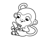 Disegno di Scimmia con banana da colorare