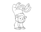 Disegno di Scimmia equilibrista da colorare