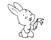 Dibujo de Sorridente coniglietto