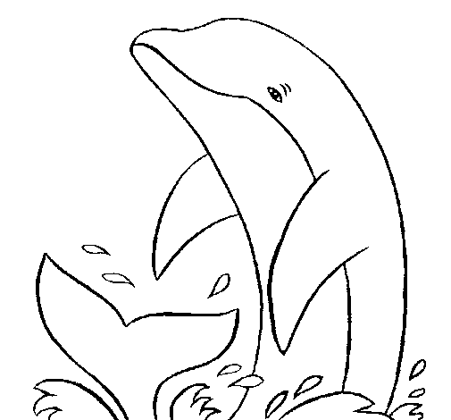 Disegno di Spruzzi delfino da Colorare