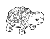 Dibujo de Tartaruga stellata indiana
