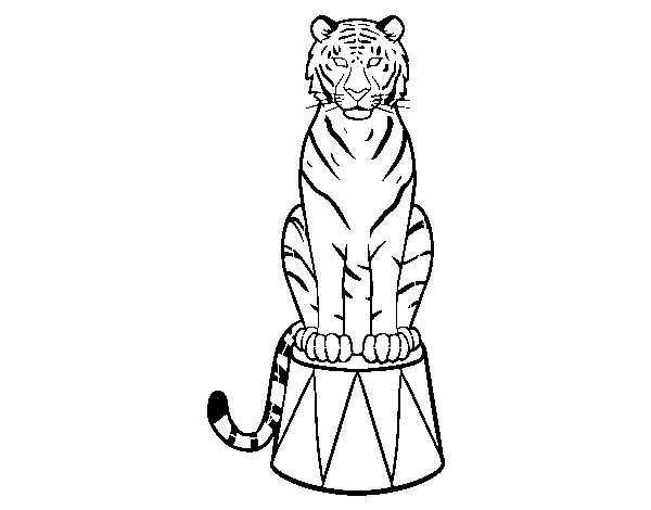 Disegno di Tiger di circo da Colorare