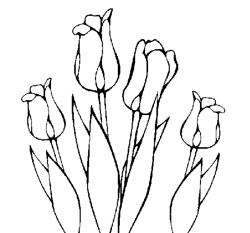 Disegno di Tulipani  da Colorare