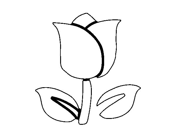 Disegno di Tulipano da Colorare