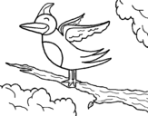 Dibujo de Uccello nel albero