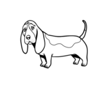 Disegno di Un Basset hound da colorare