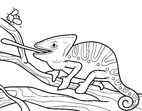 Disegno di Un camaleonte con la lingua fuori da Colorare