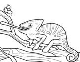 Disegno di Un camaleonte con la lingua fuori da colorare