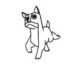 Dibujo de Un cane Boxer