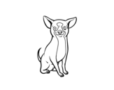 Dibujo de Un cane chihuahua