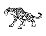 Disegno di Un ghepardo da colorare