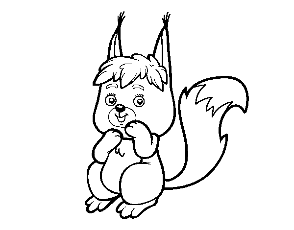 Disegno di Un piccolo scoiattolo da Colorare