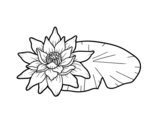 Disegno di Una fiore di loto da colorare