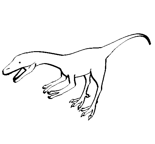 Disegno di Velociraptor II da Colorare