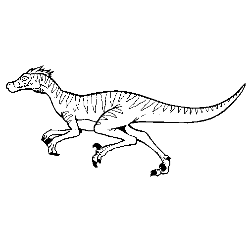 Disegno di Velociraptor  da Colorare