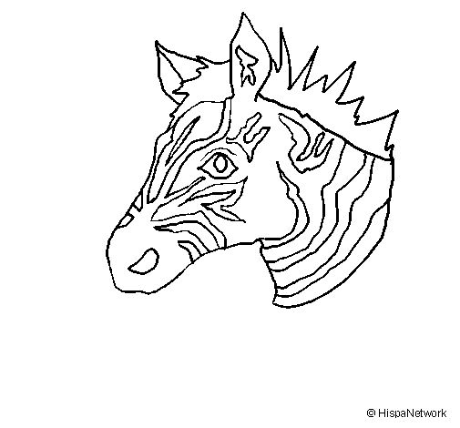 Disegno di Zebra II da Colorare