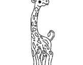 Disegno Giraffa  pitturato su maria