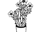 Disegno Fiori di cactus  pitturato su nic