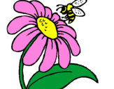 Disegno Margherita con ape  pitturato su marta