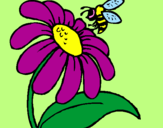 Disegno Margherita con ape  pitturato su martimartina