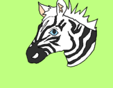 Disegno Zebra II pitturato su ELISA