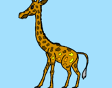 Disegno Giraffa  pitturato su filippo