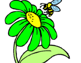 Disegno Margherita con ape  pitturato su EMMA