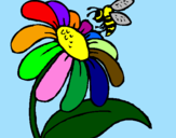 Disegno Margherita con ape  pitturato su ettore bg