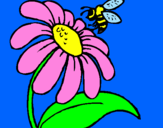 Disegno Margherita con ape  pitturato su hajy