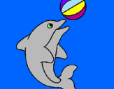 Disegno Delfino con una palla  pitturato su balena senza denti