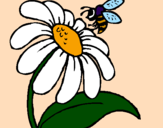 Disegno Margherita con ape  pitturato su Trilly 2