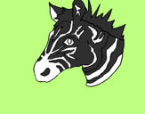 Disegno Zebra II pitturato su Demetrio