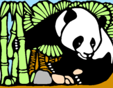 Disegno Orso panda con bambù  pitturato su giuseppe