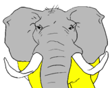 Disegno Elefante africano pitturato su Marco Di Cosmo