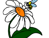 Disegno Margherita con ape  pitturato su cicci