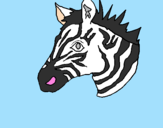 Disegno Zebra II pitturato su fede
