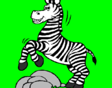 Disegno Zebra che salta sulle pietre  pitturato su simone