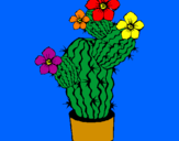 Disegno Fiori di cactus  pitturato su simona