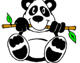 Disegno Orso panda  pitturato su leonard