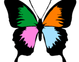 Disegno Farfalla con le ali nere pitturato su FARFALLA SILVIA