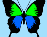 Disegno Farfalla con le ali nere pitturato su fabiana
