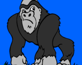 Disegno Gorilla pitturato su carlo