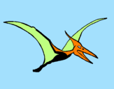 Disegno Pterodattilo  pitturato su alirichi